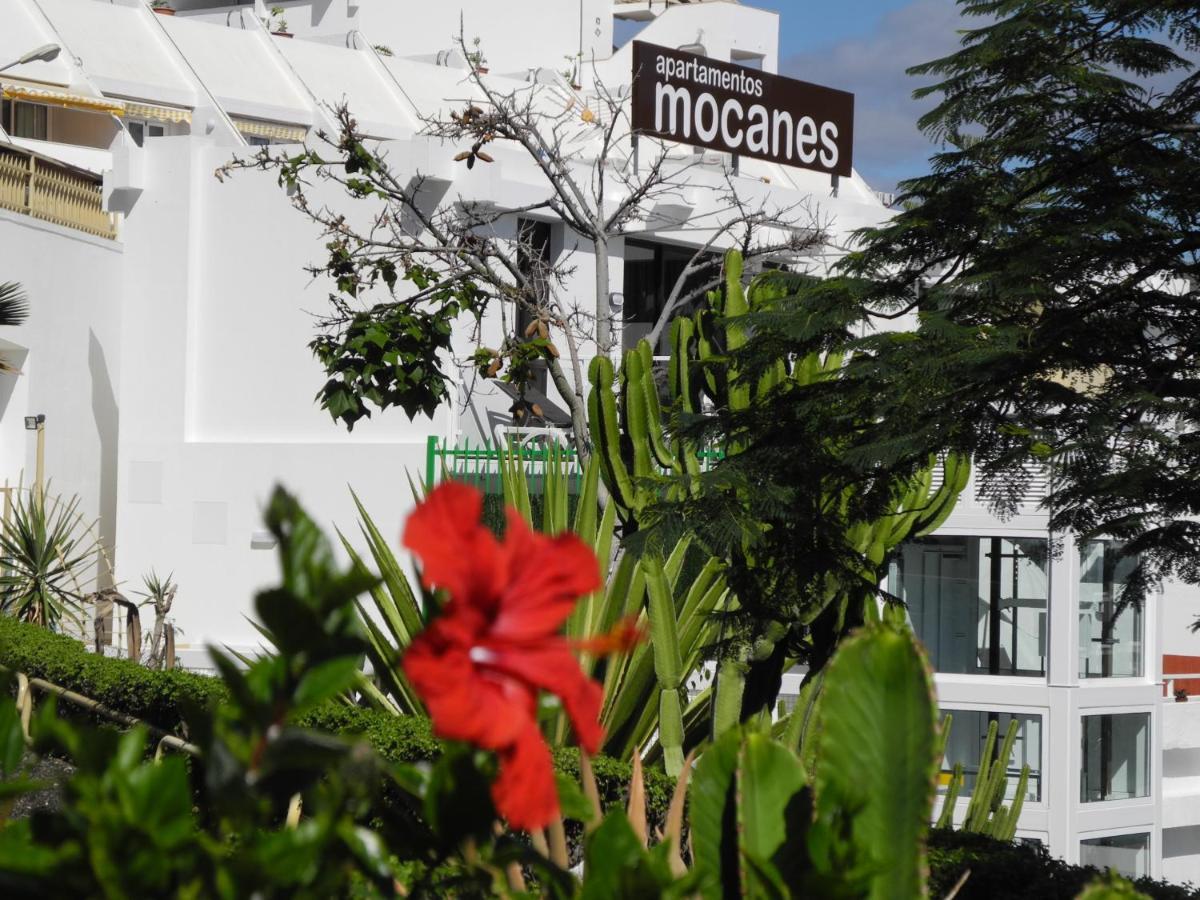 Apartamentos Los Mocanes Puerto Rico  Exterior photo
